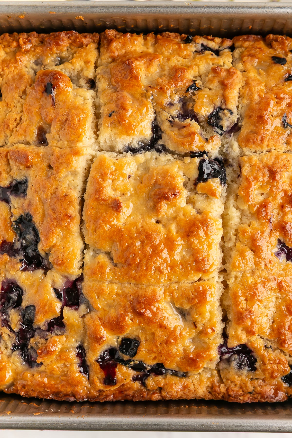 Blueberry Biscuits