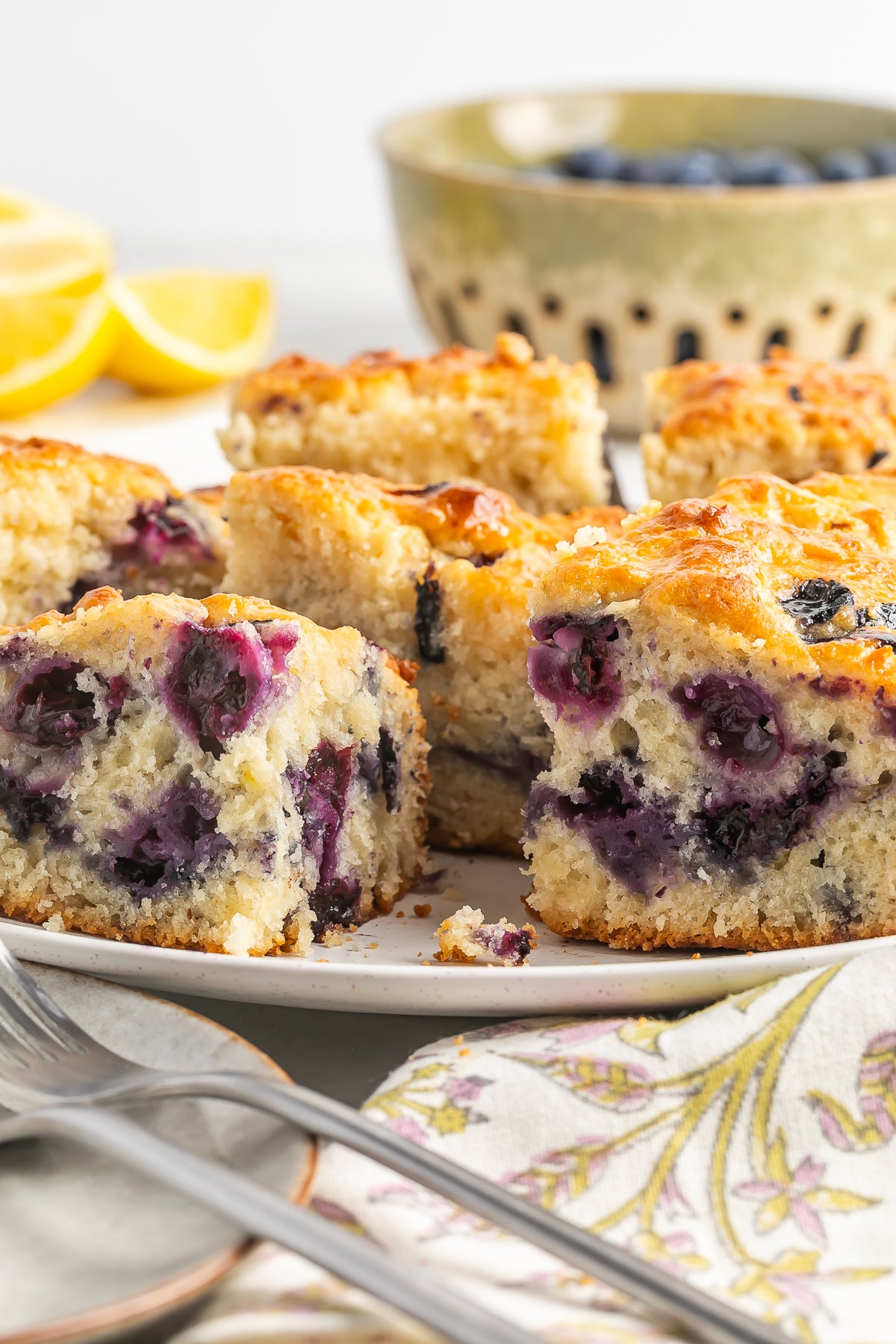Blueberry Biscuits