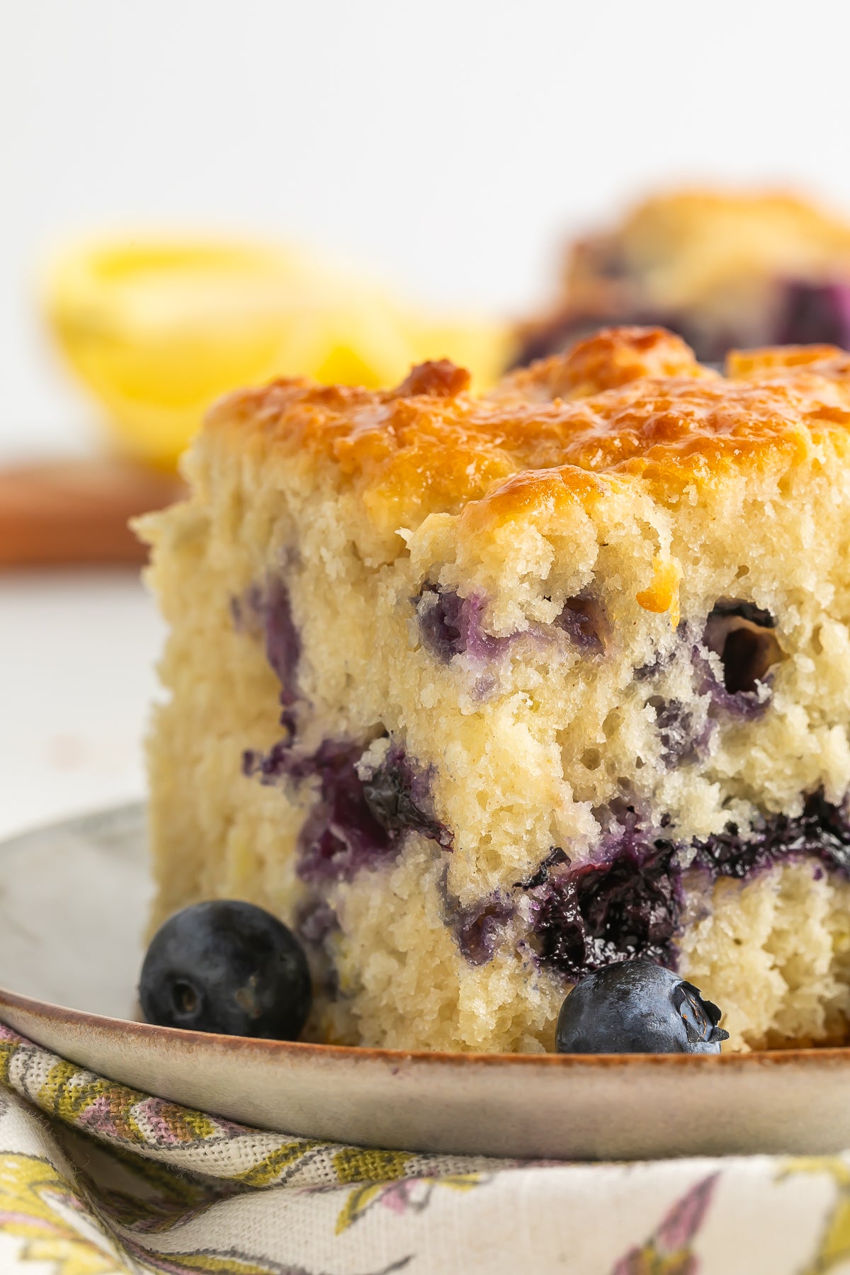 Blueberry Biscuits