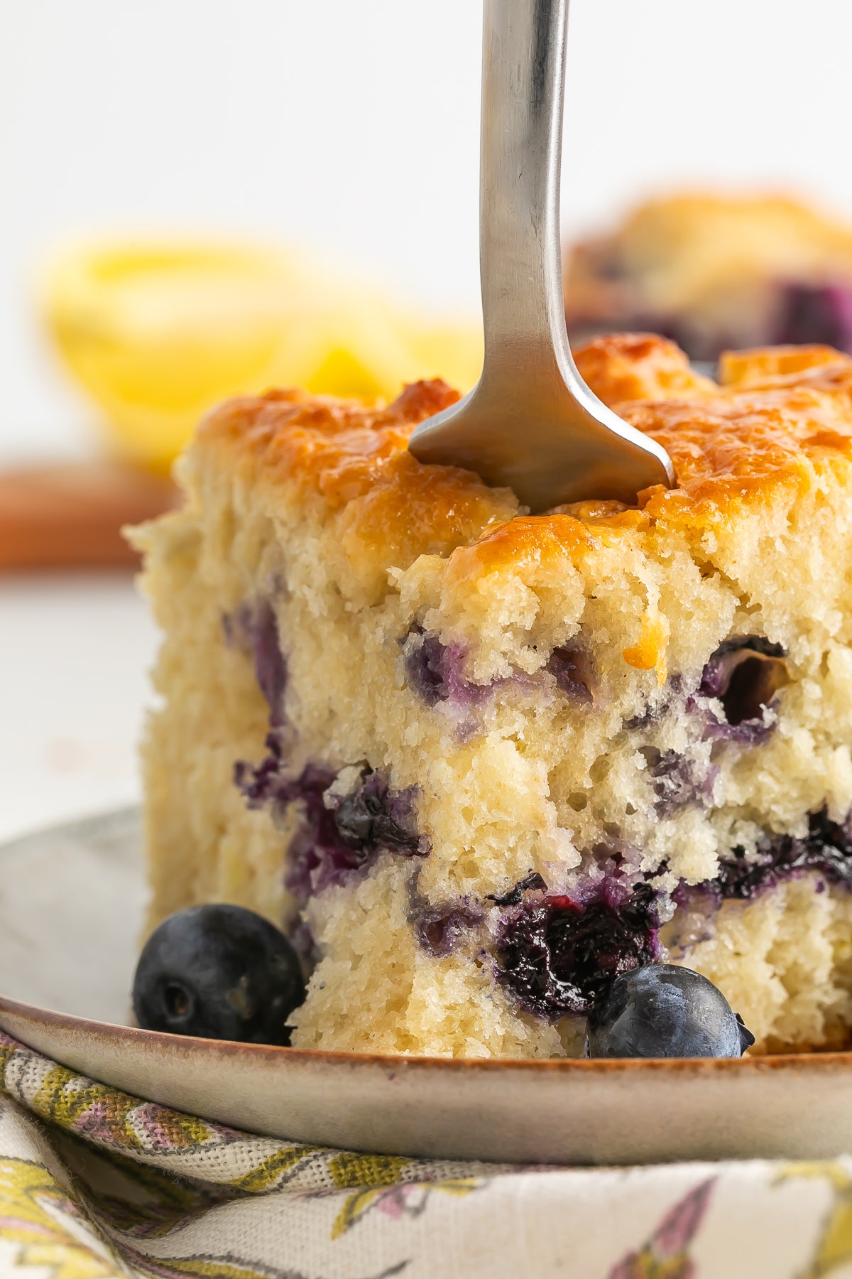 Blueberry Biscuits