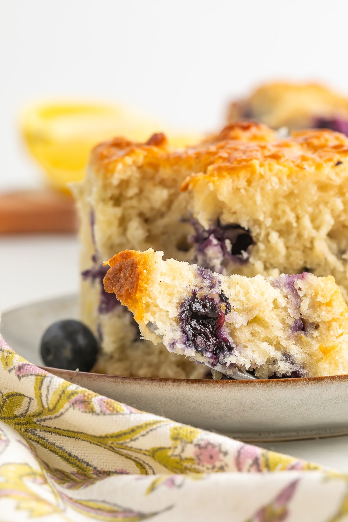 Blueberry Biscuits