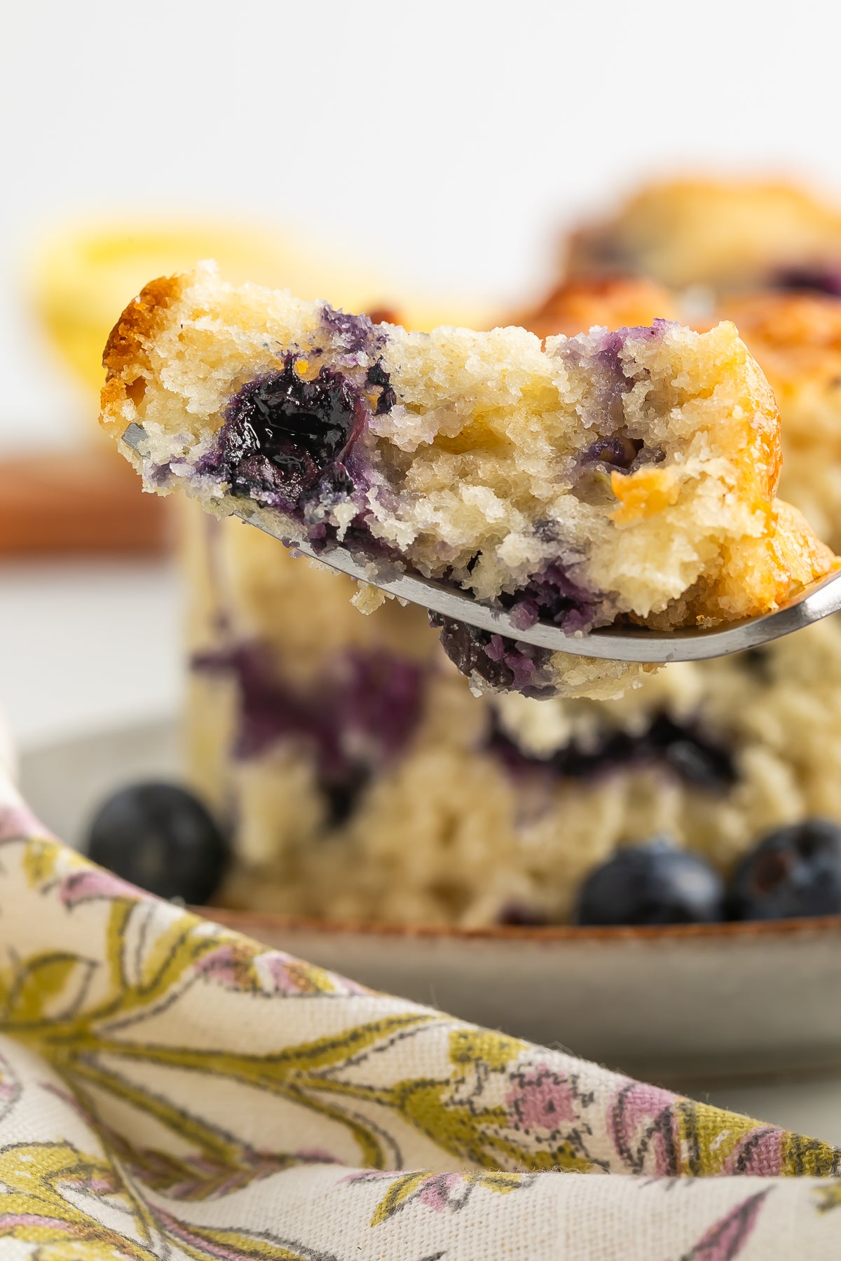 Blueberry Biscuits