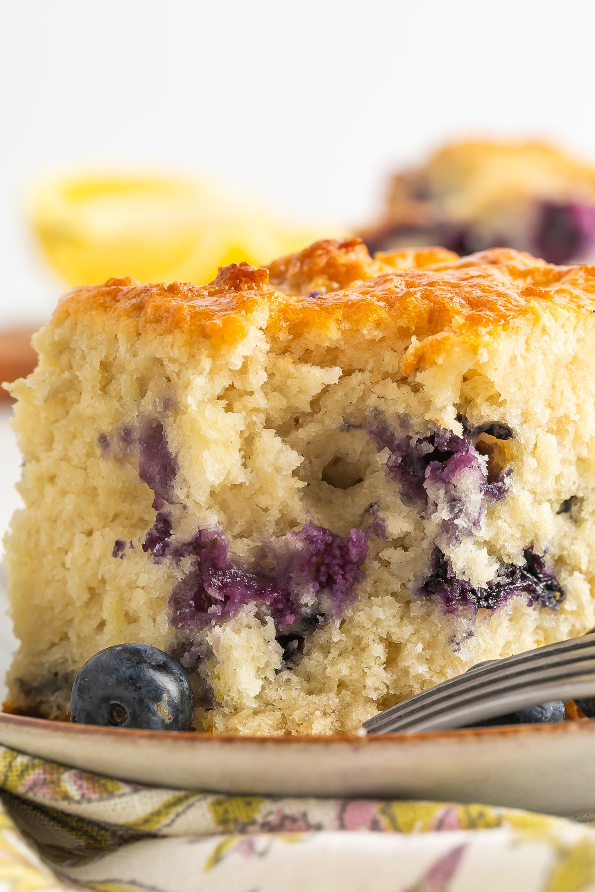 Blueberry Biscuits