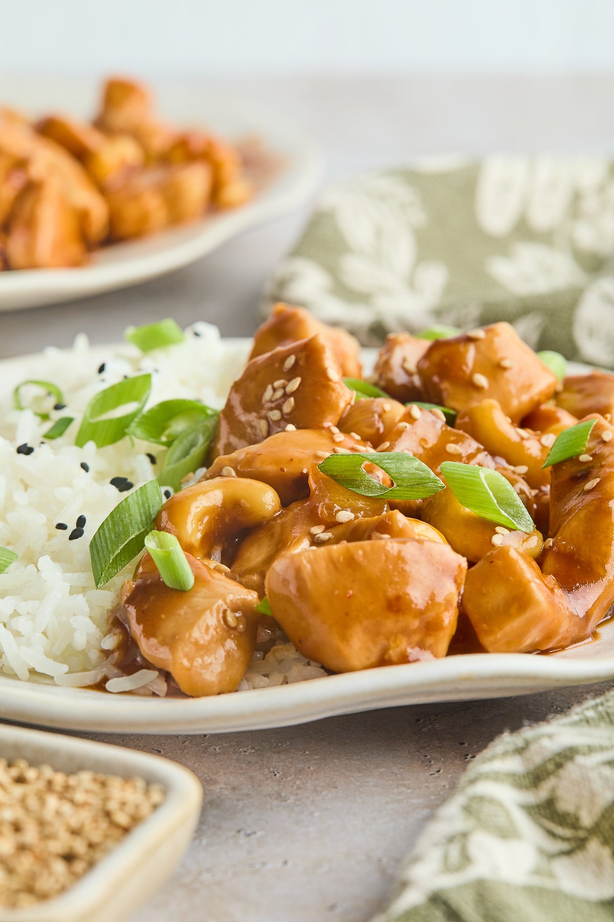 Cashew Chicken