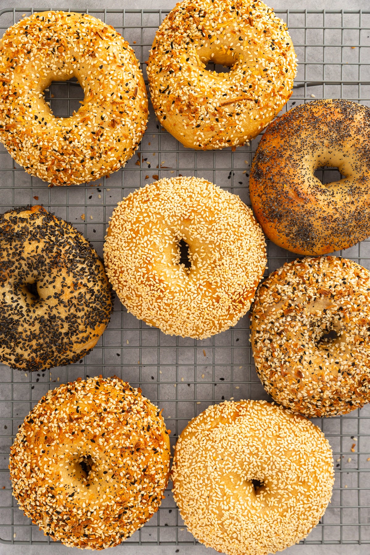 Homemade New York Style Bagels
