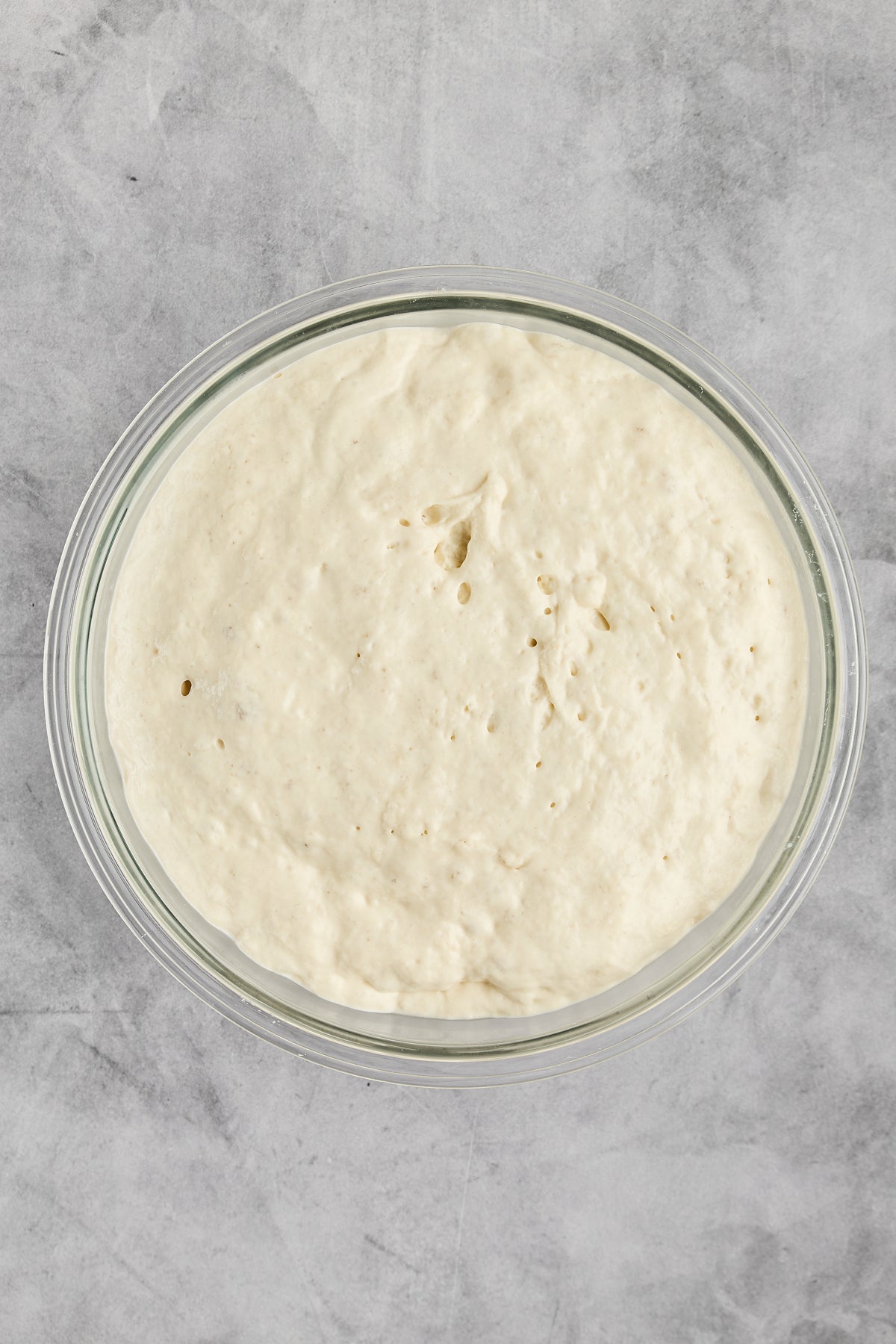 No-Knead Artisan Bread
