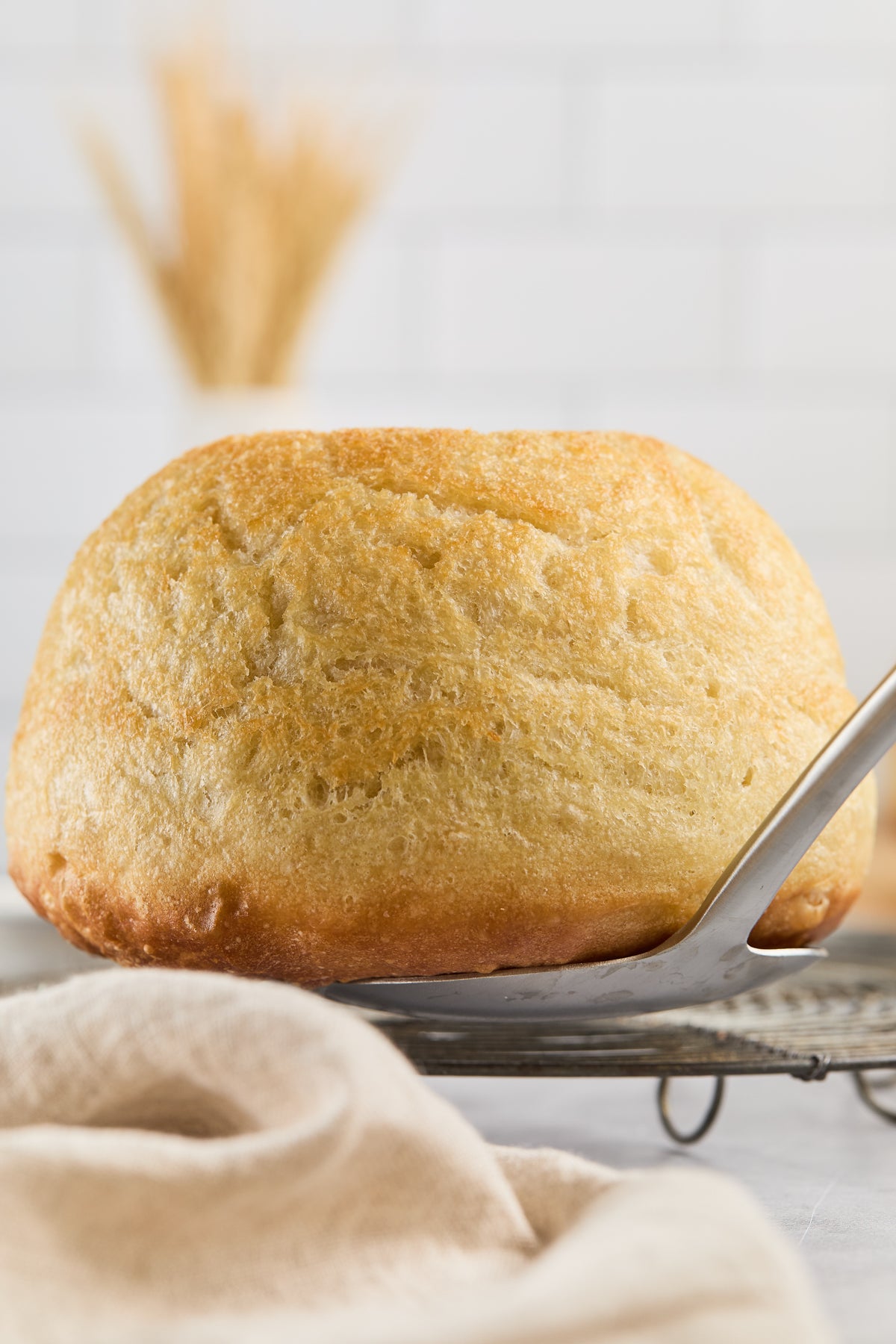 No-Knead Artisan Bread