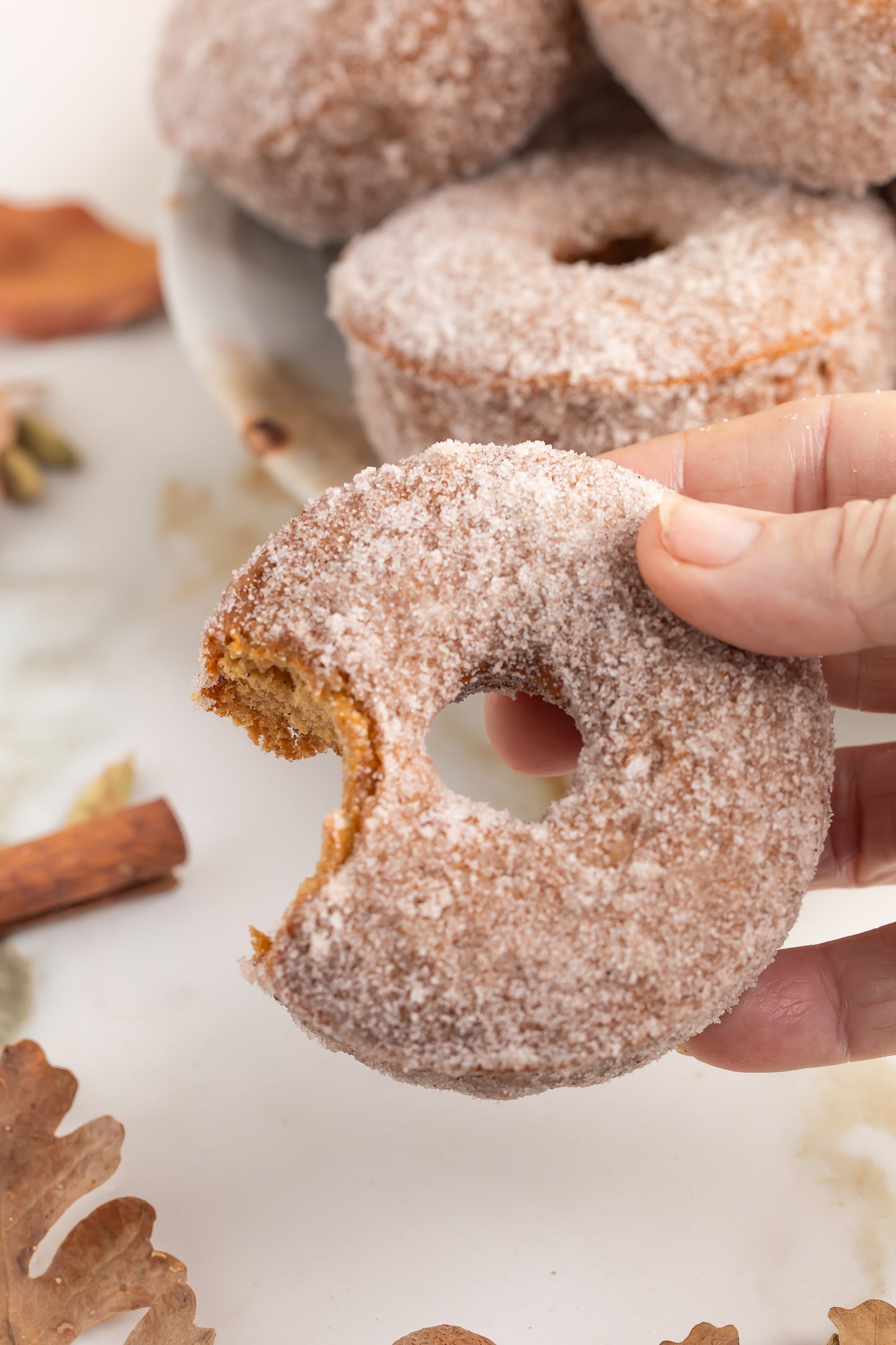 Apple Cider Donuts