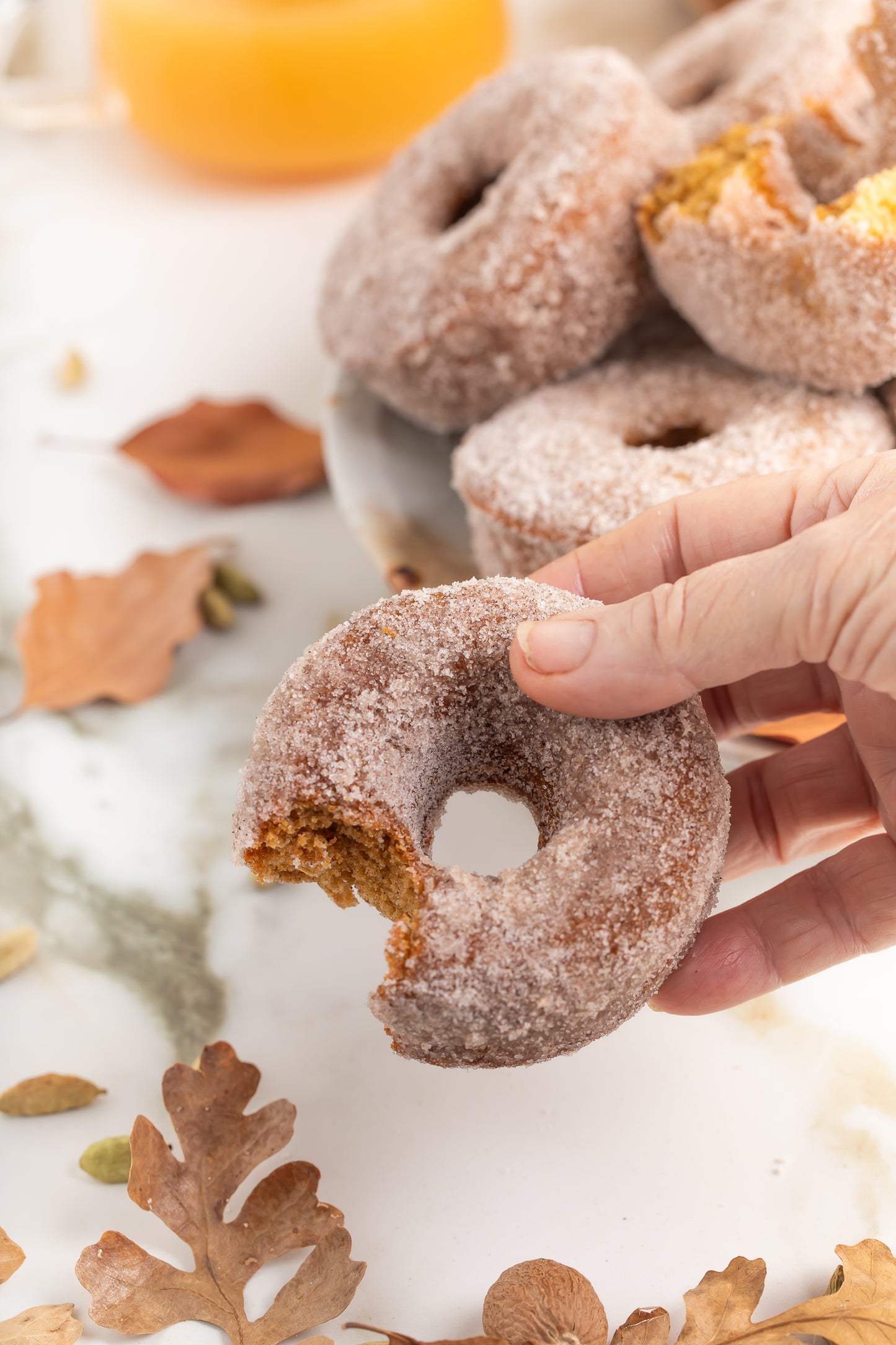 Apple Cider Donuts