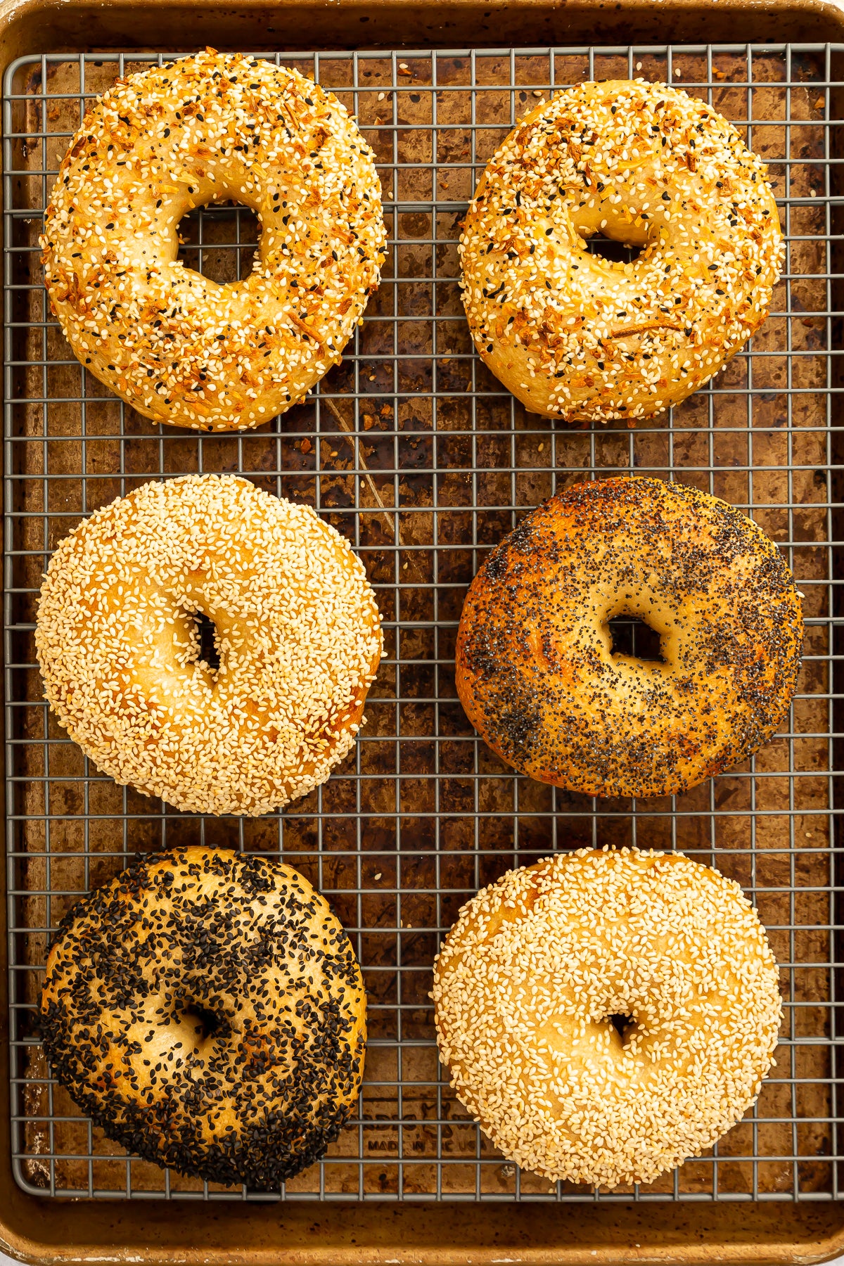 Homemade New York Style Bagels