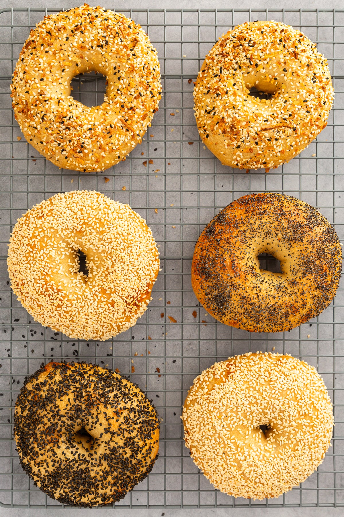 Homemade New York Style Bagels