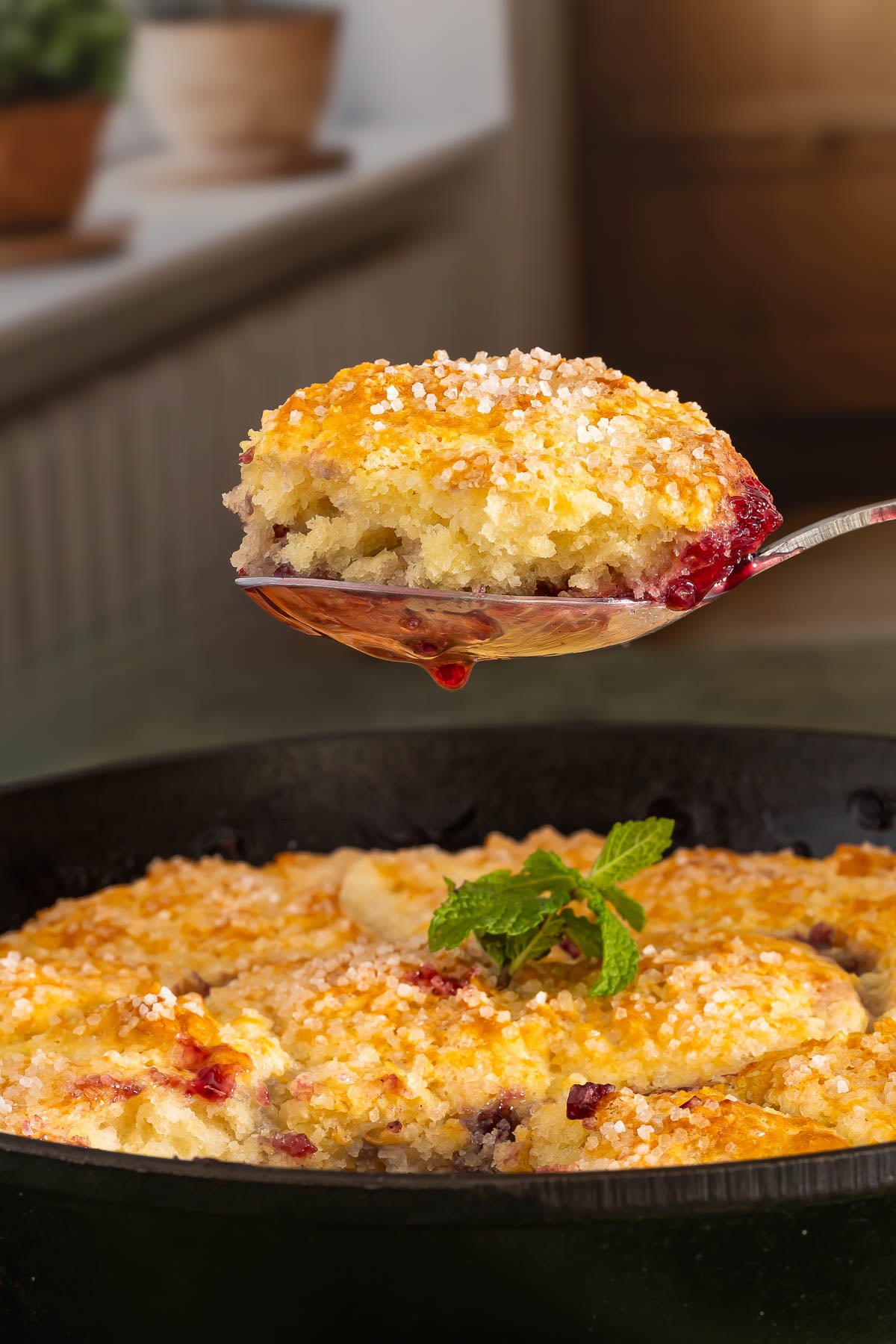 Cherry Cobbler