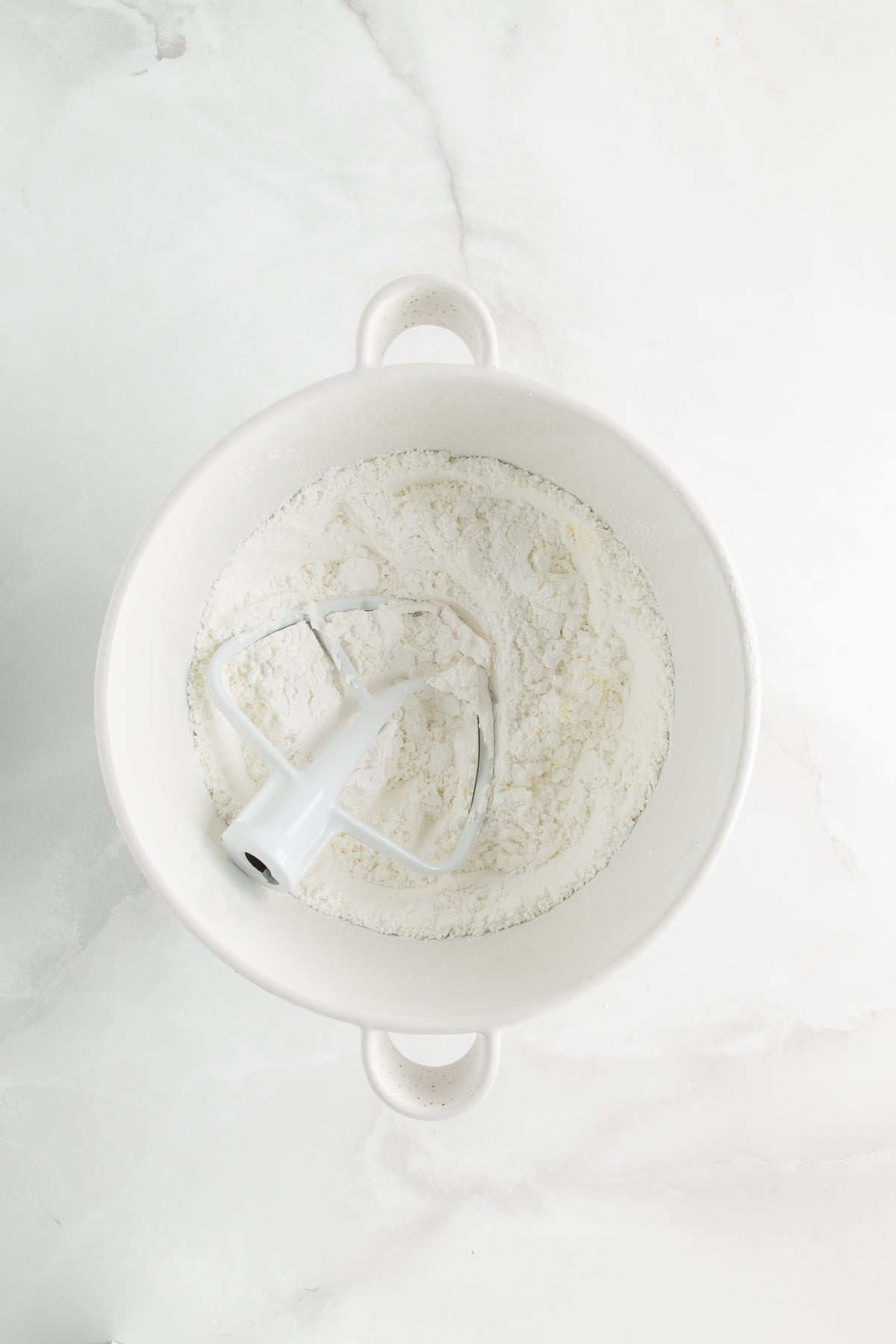 Decorated Sugar Cookies