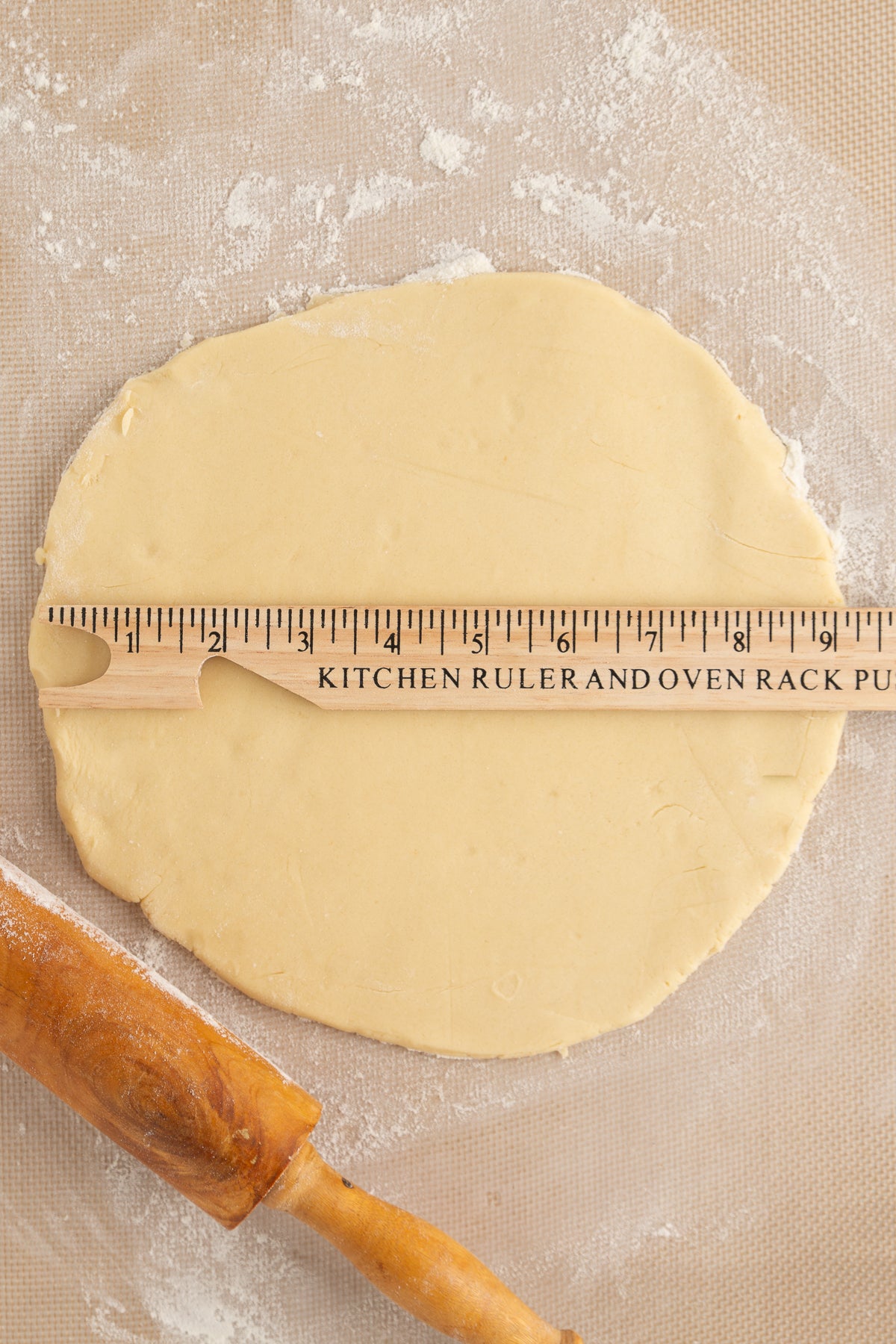 Decorated Sugar Cookies
