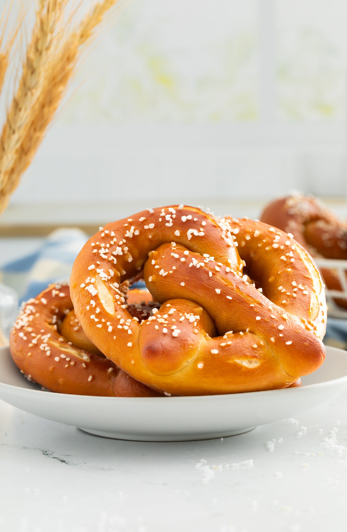 Homemade Pretzels with Cheese Sauce