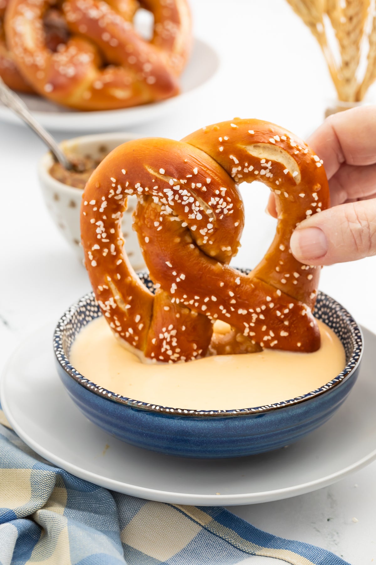 Homemade Pretzels with Cheese Sauce