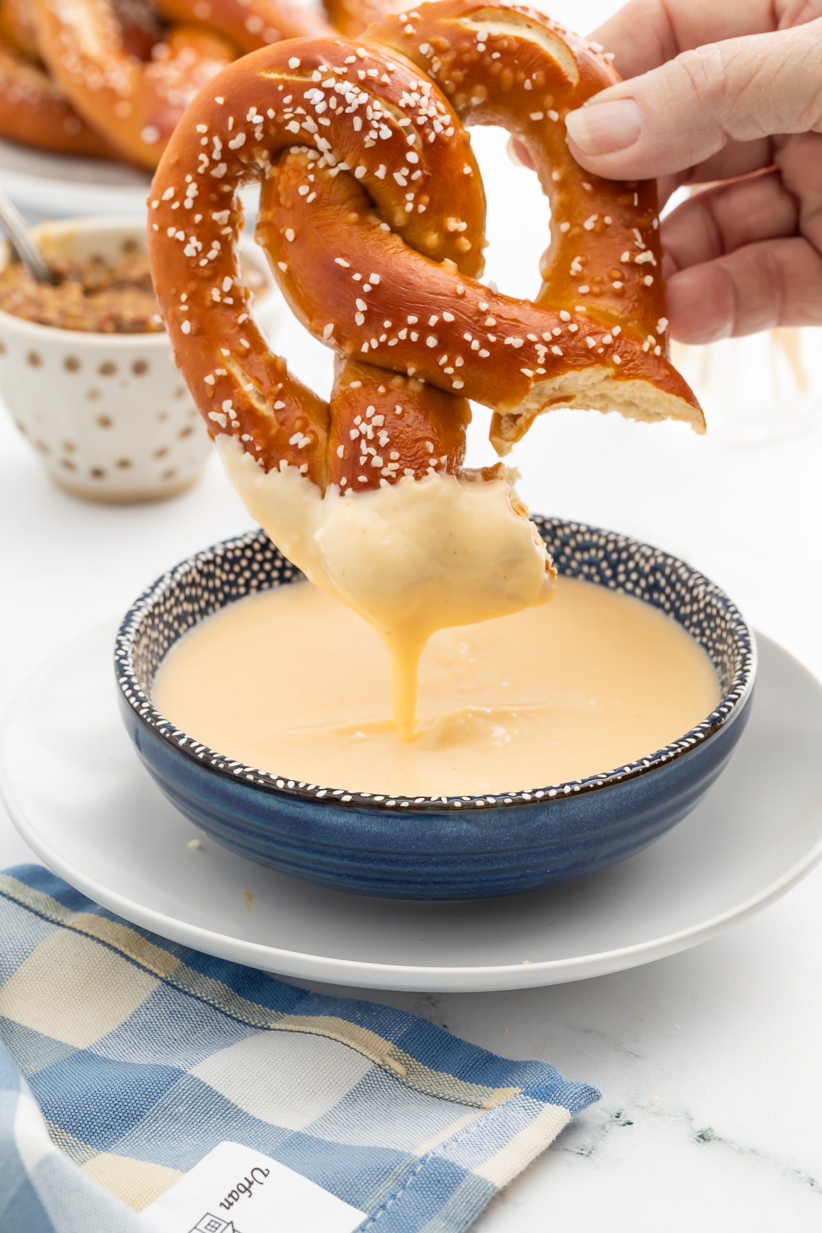 Homemade Pretzels with Cheese Sauce