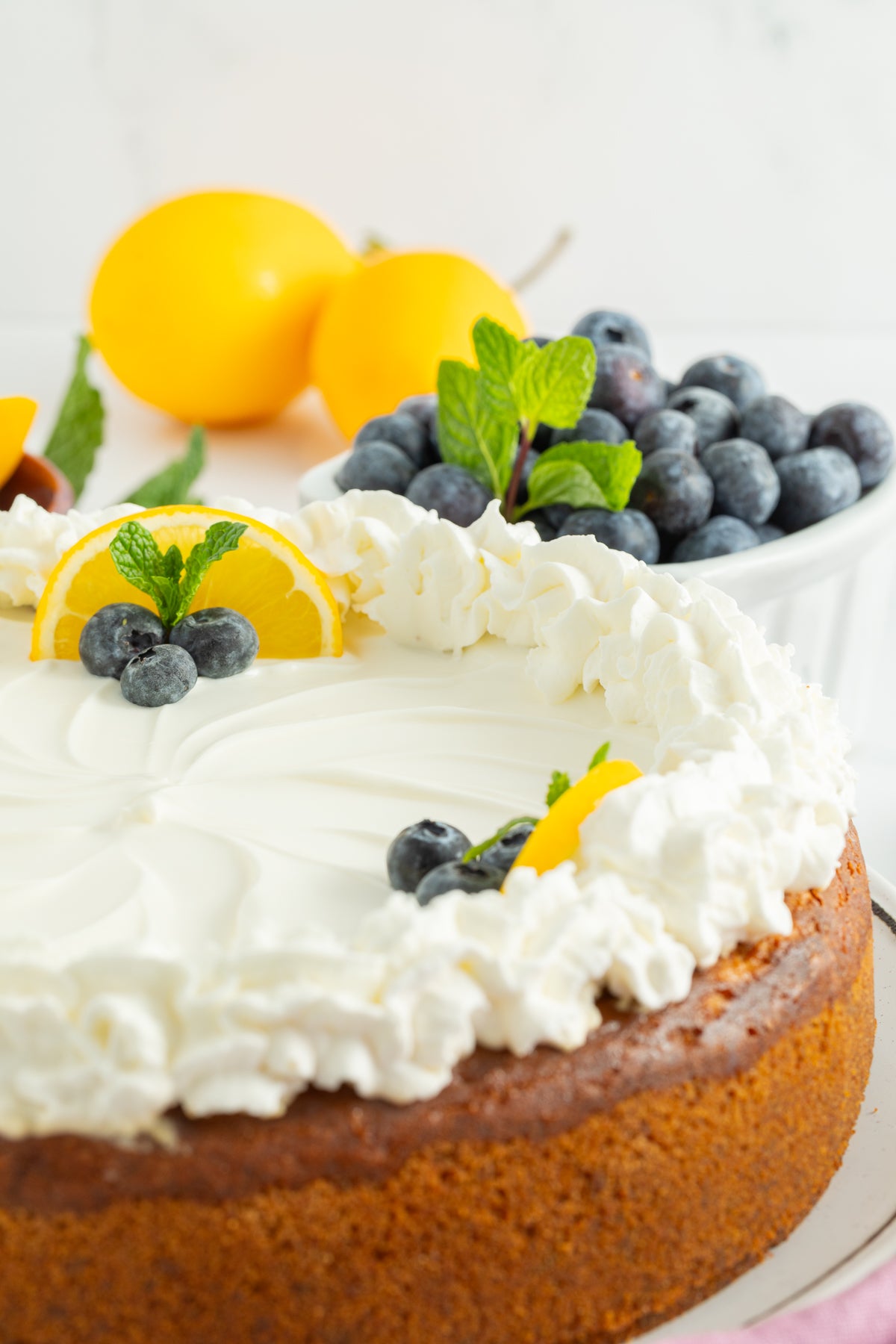 Lemon Cheesecake with Blueberry