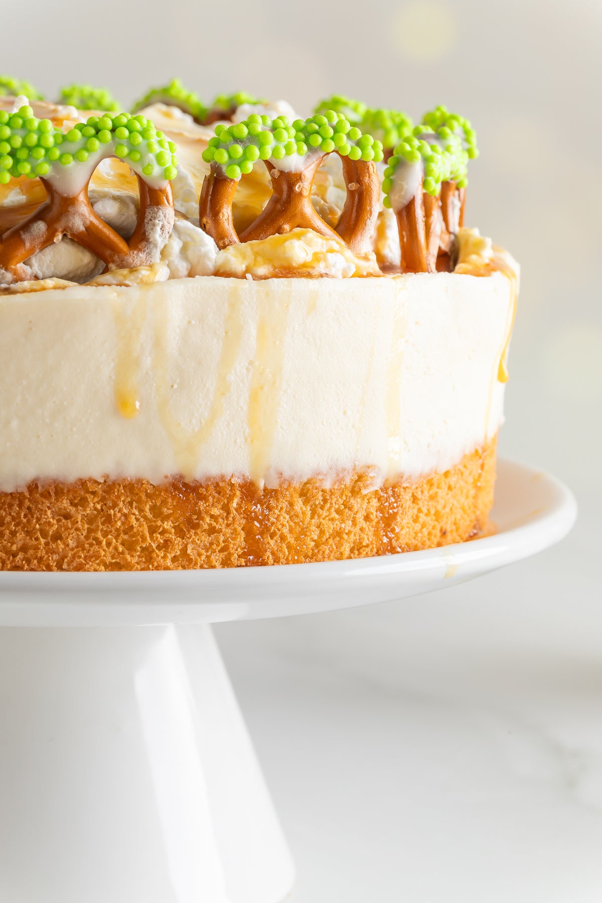 No-bake Baileys Cheesecake