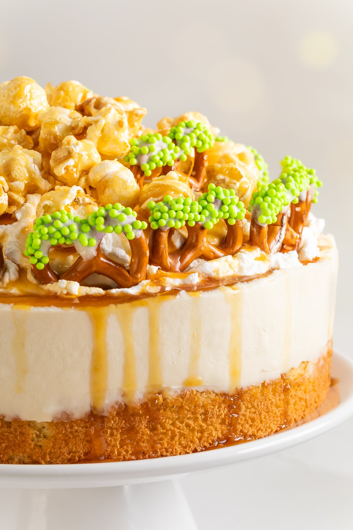 No-bake Baileys Cheesecake