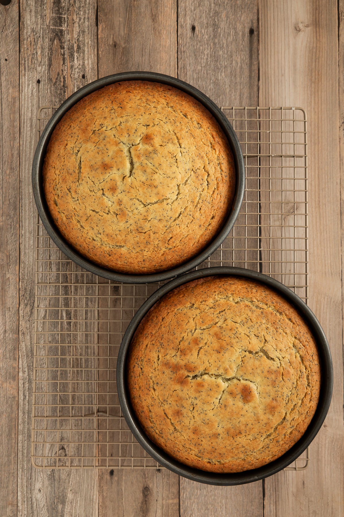 Orange Poppy Seed Cake