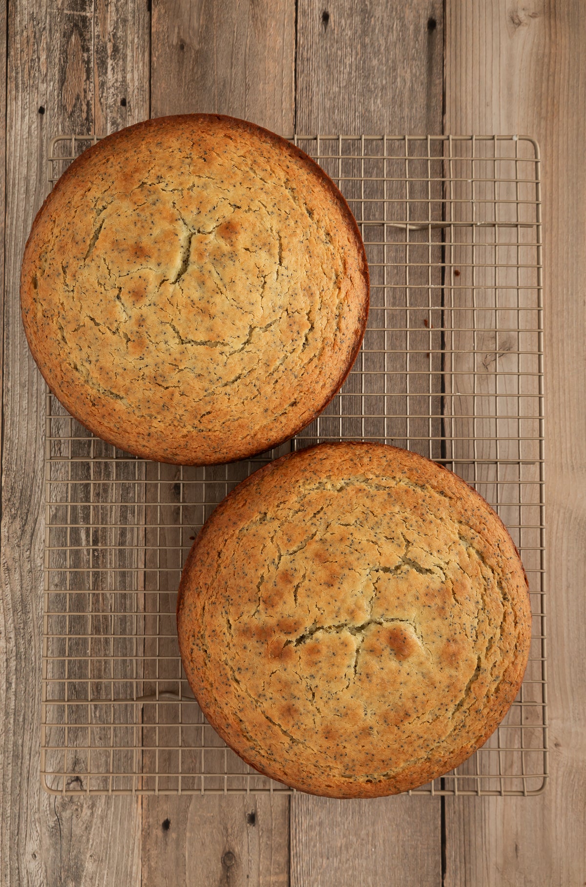 Orange Poppy Seed Cake