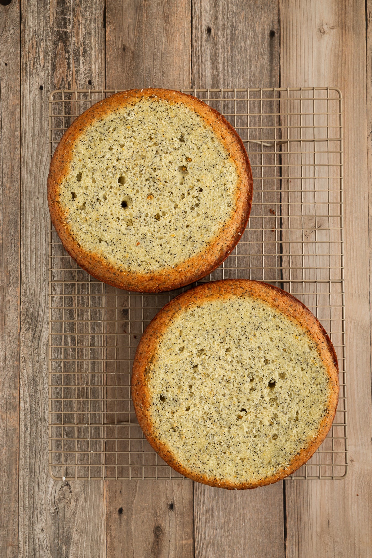 Orange Poppy Seed Cake