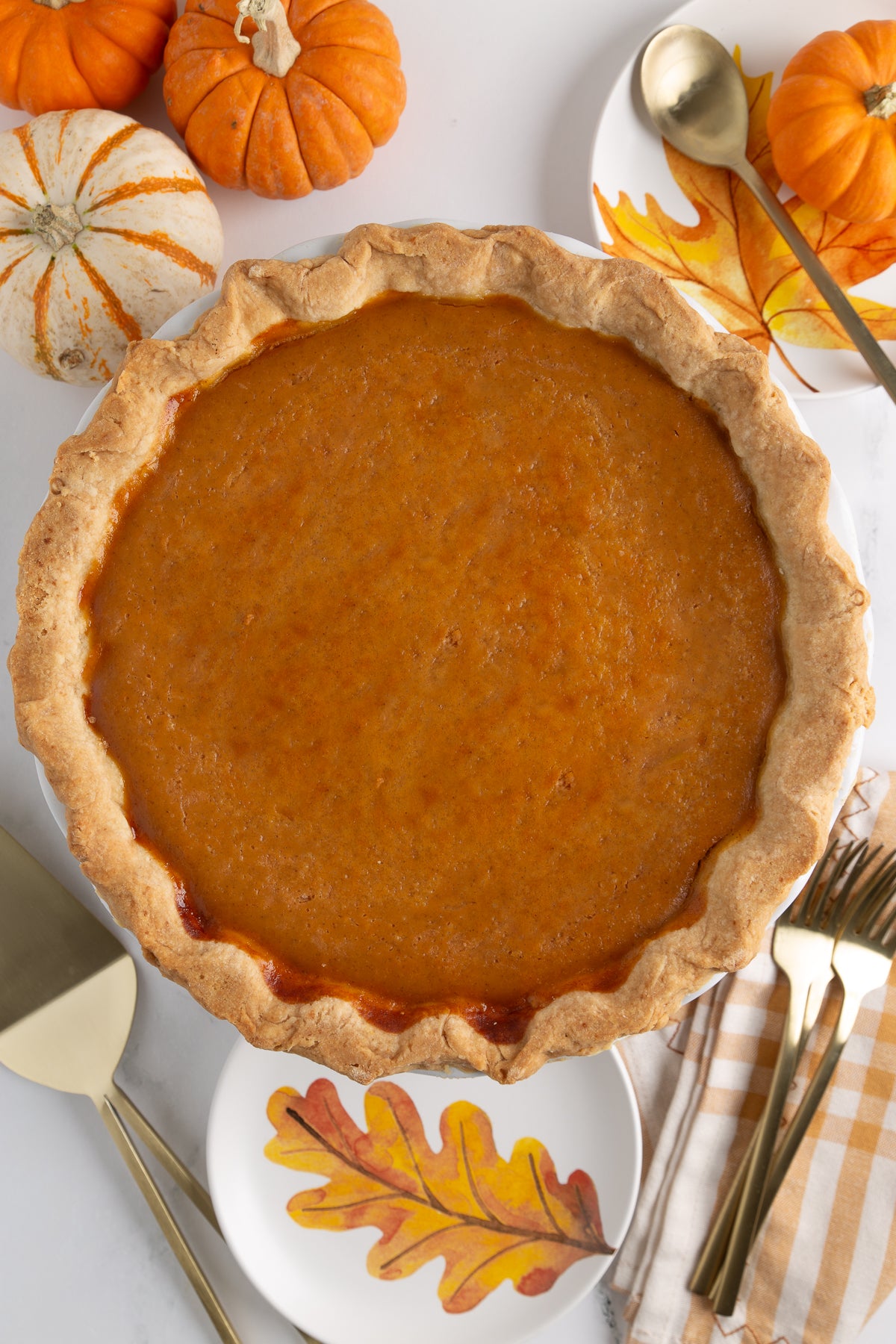 Classic Pumpkin Pie- Mini Exclusive
