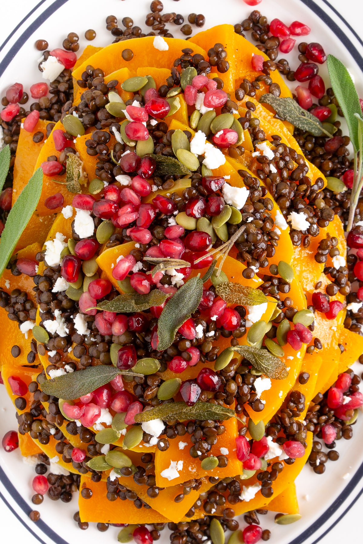 Roasted Butternut Squash and Lentils