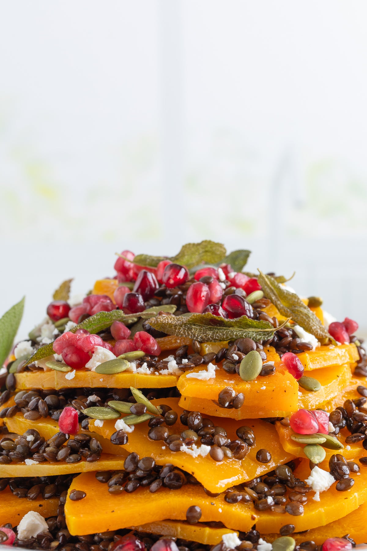 Roasted Butternut Squash and Lentils