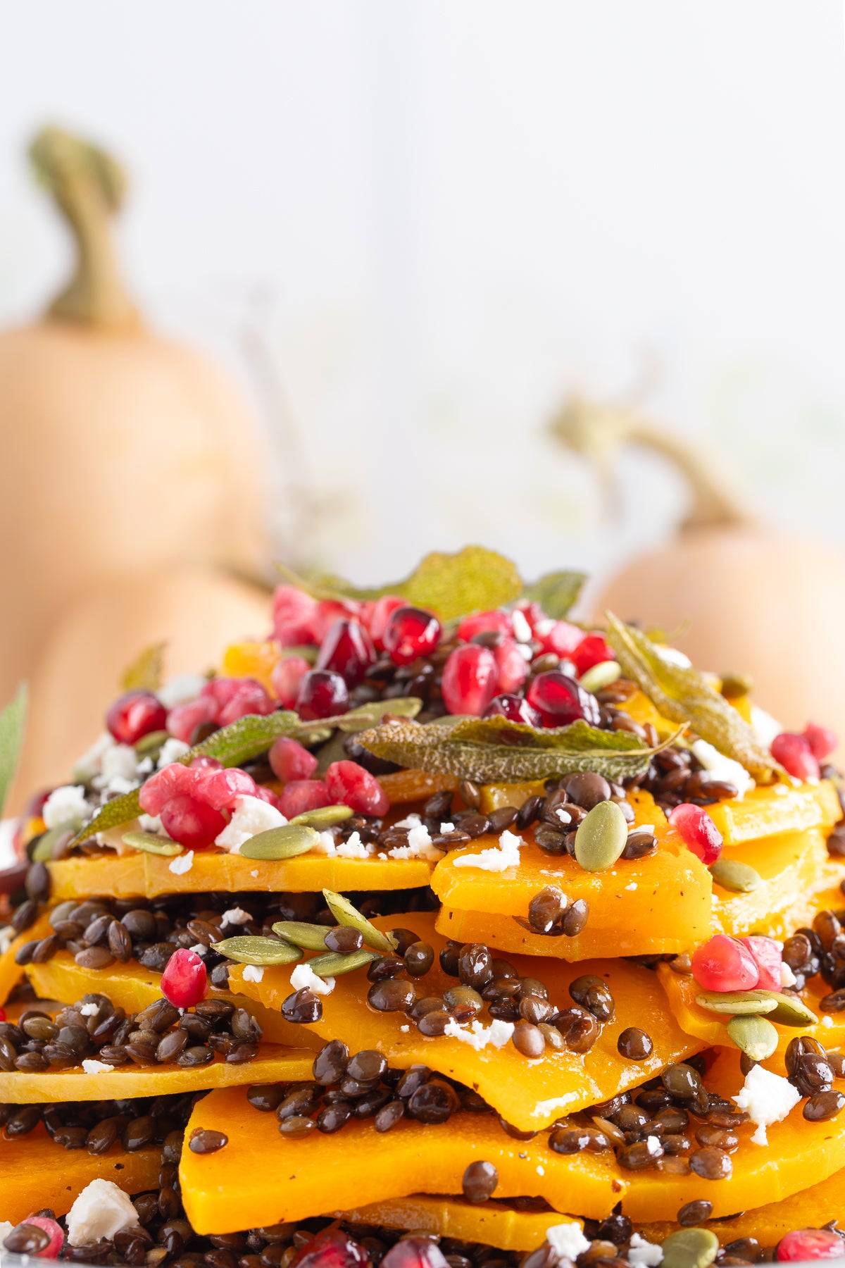Roasted Butternut Squash and Lentils