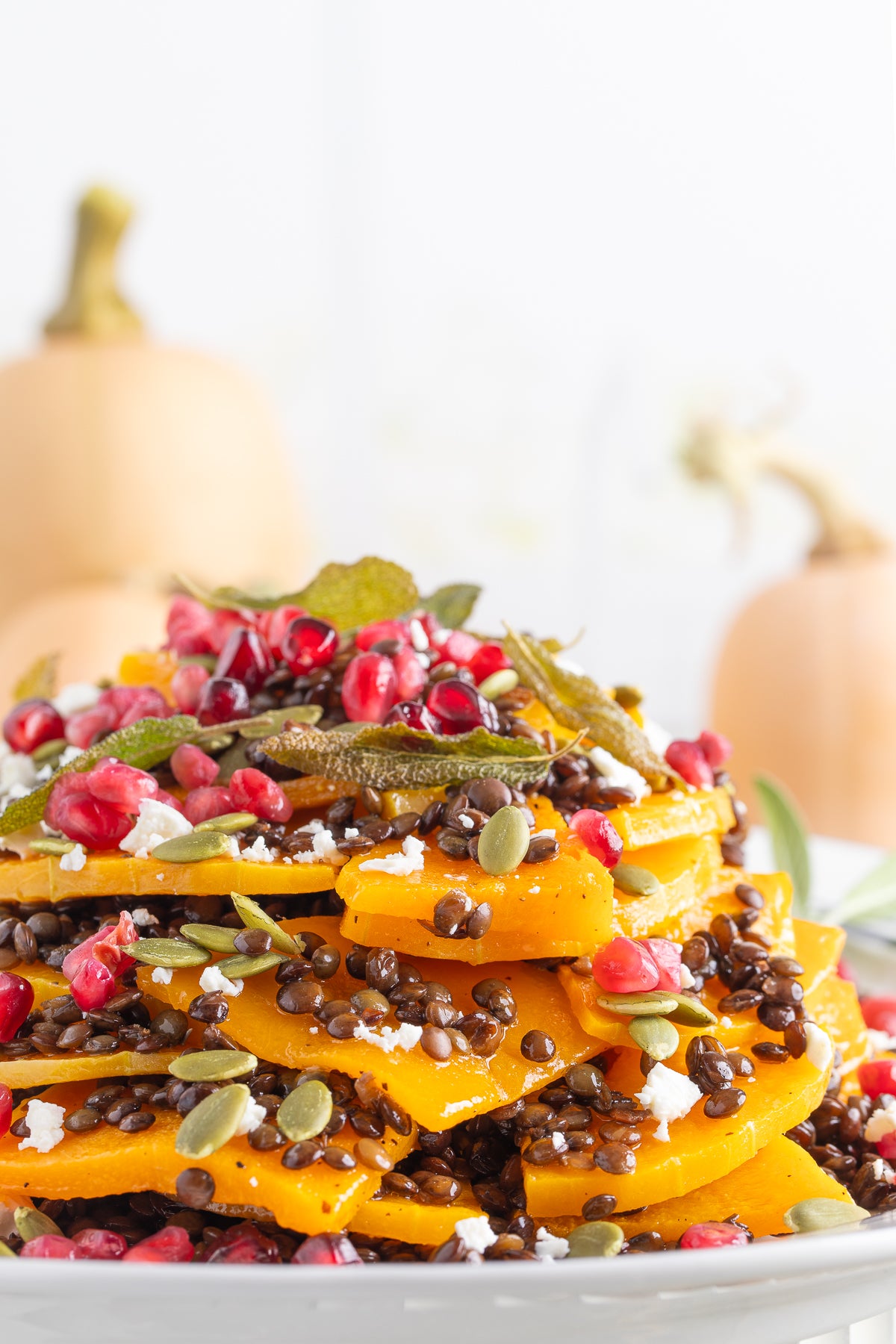 Roasted Butternut Squash and Lentils