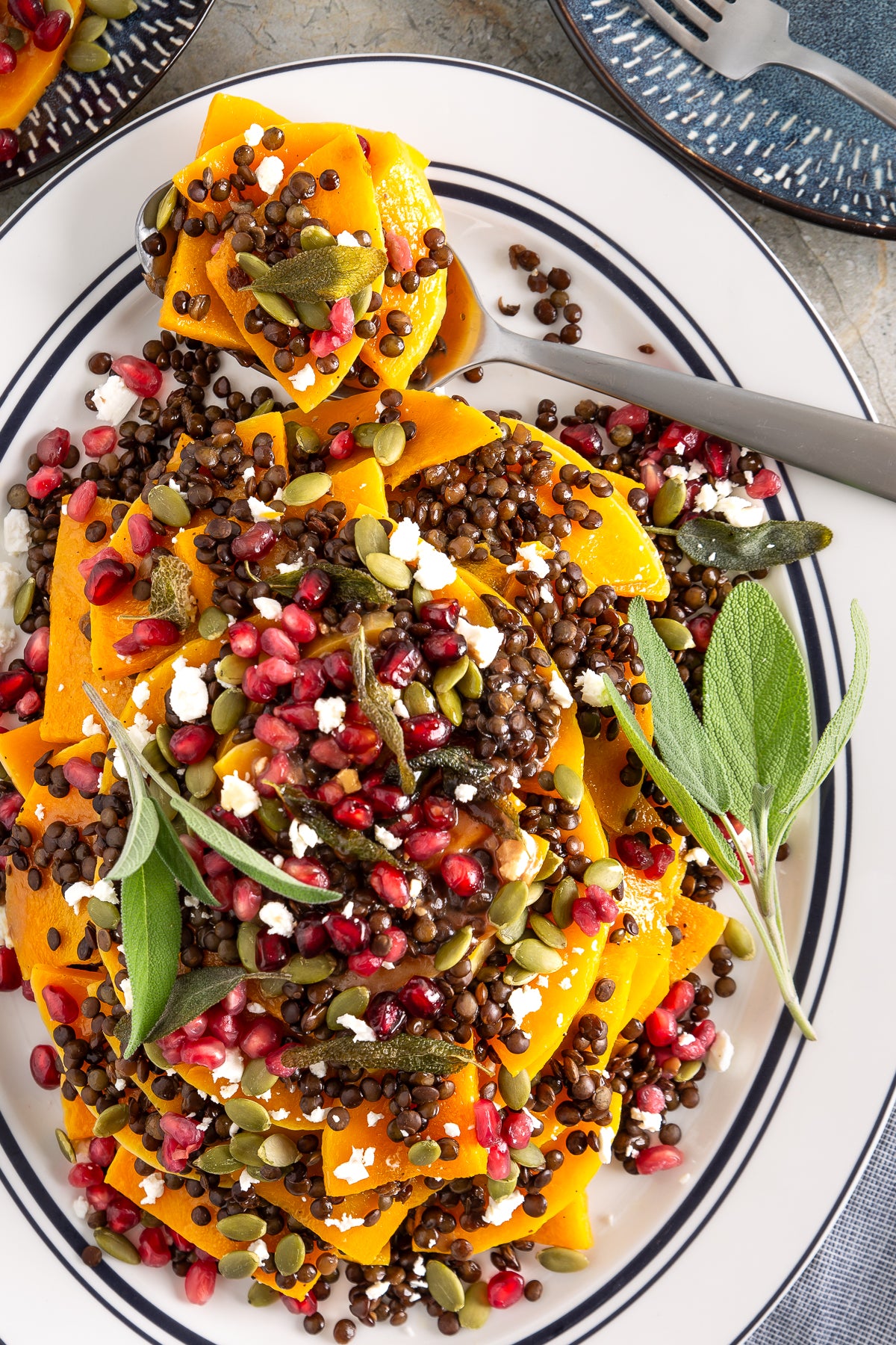 Roasted Butternut Squash and Lentils