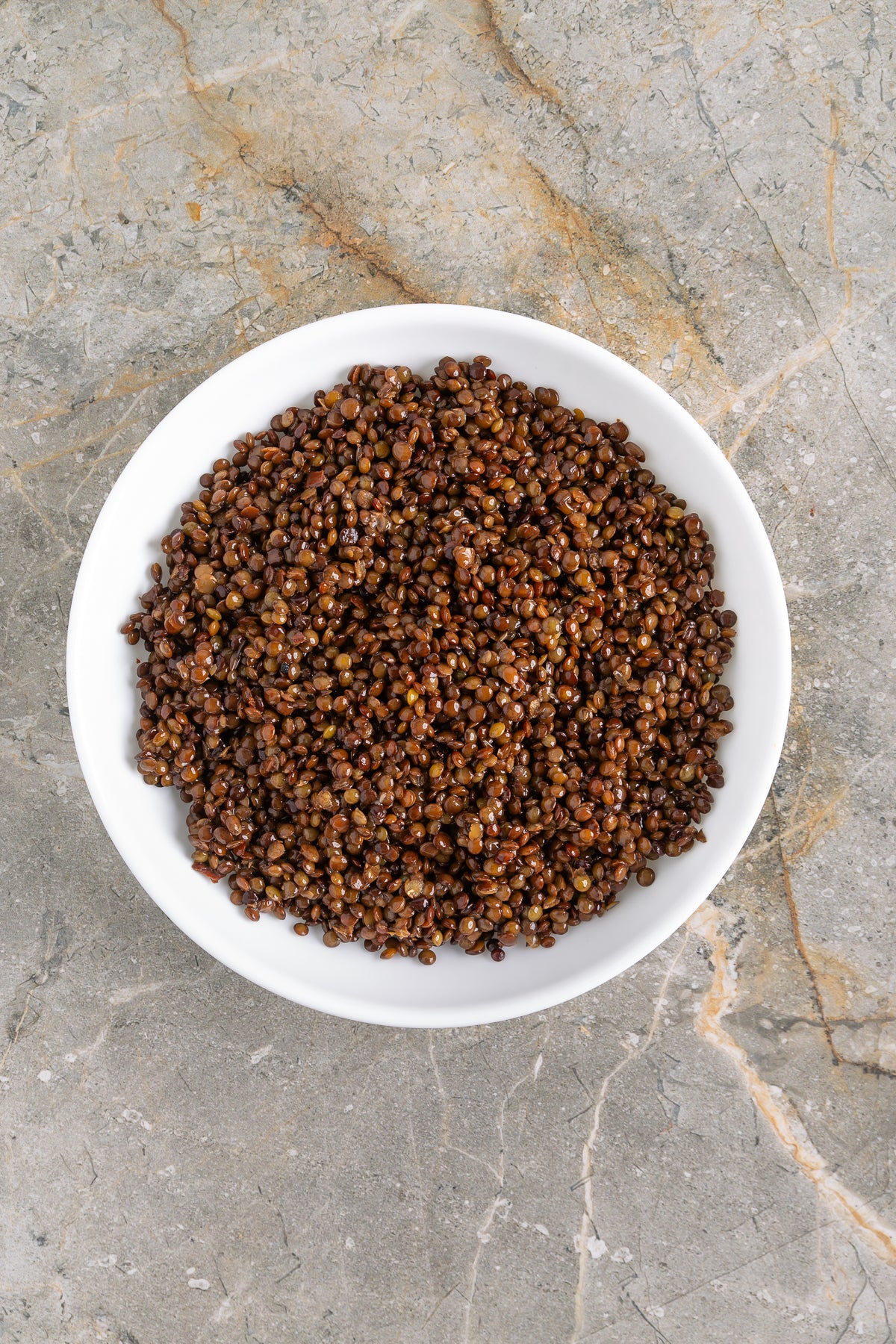 Roasted Butternut Squash and Lentils