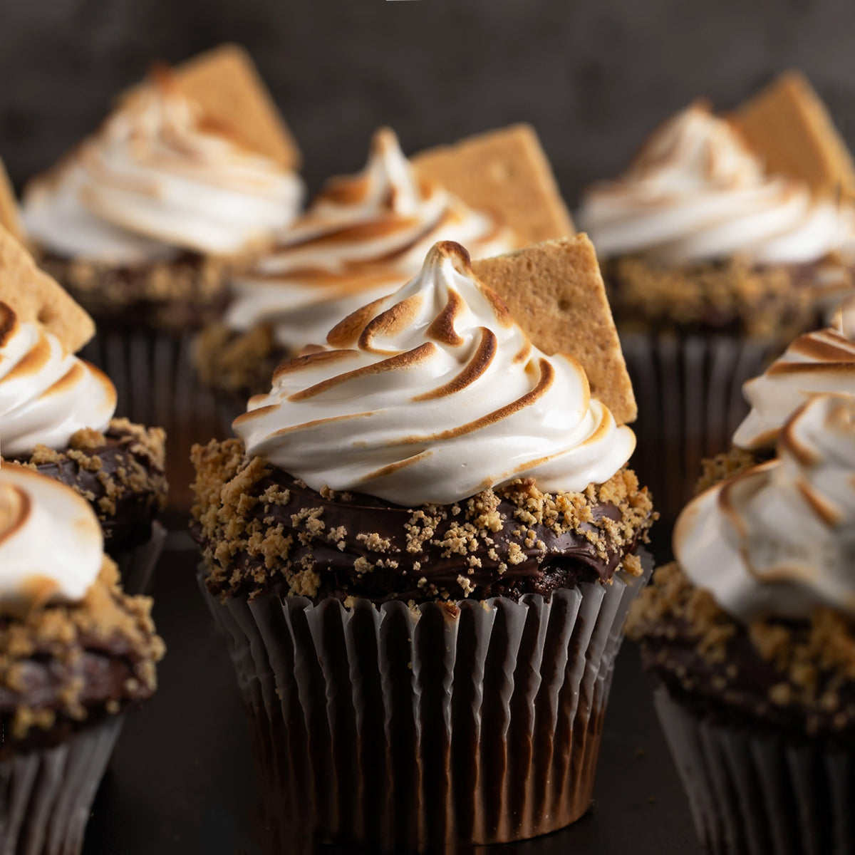 S'mores Cupcakes