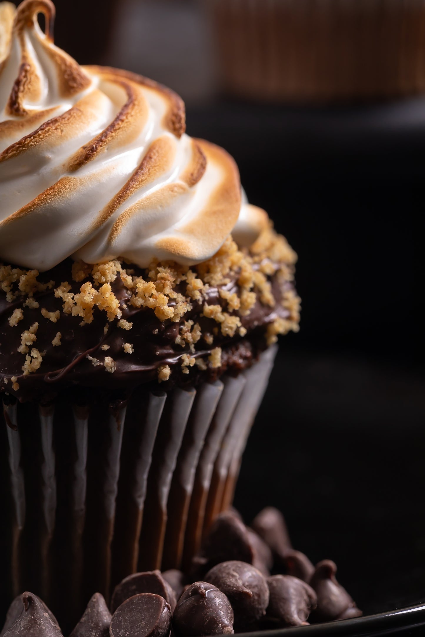 S'mores Cupcakes