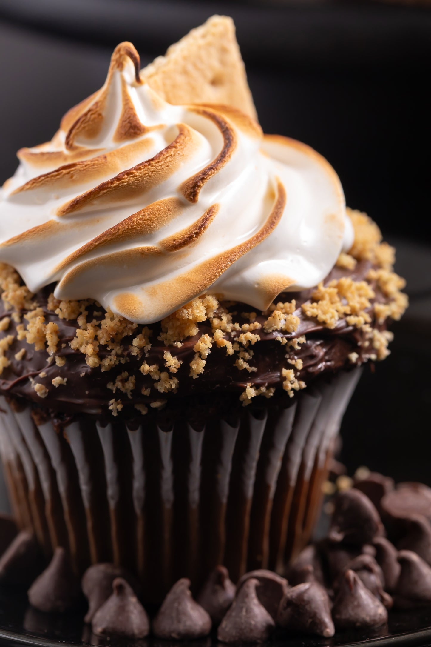 S'mores Cupcakes