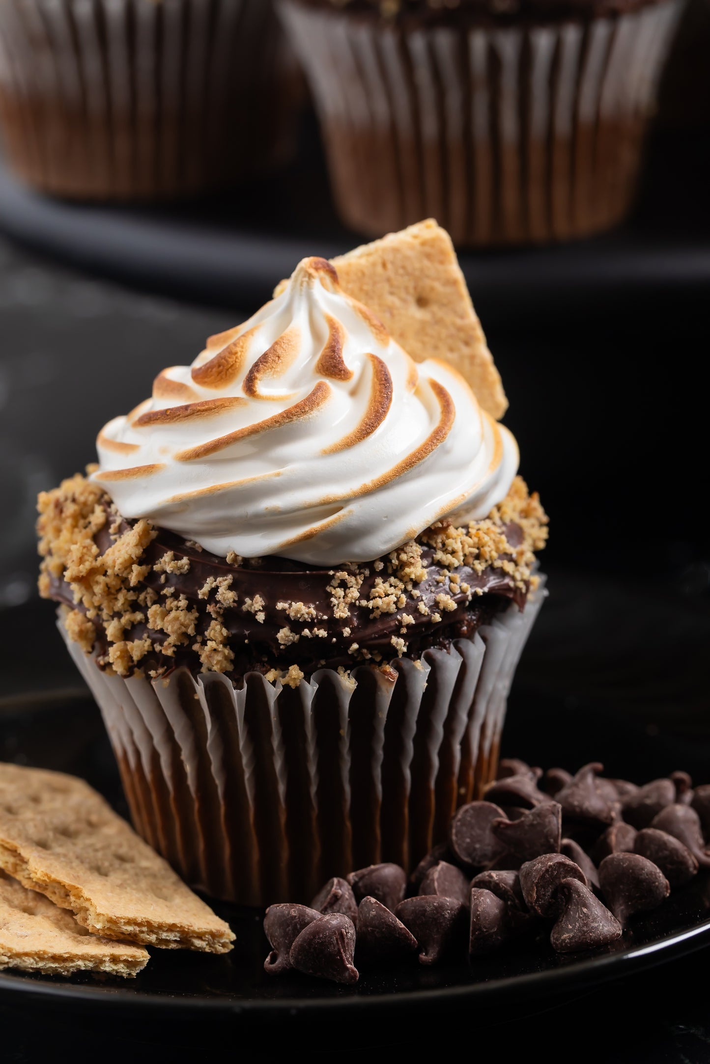 S'mores Cupcakes